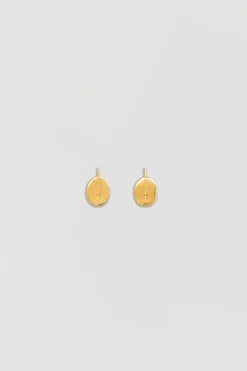 Small face brass earrings